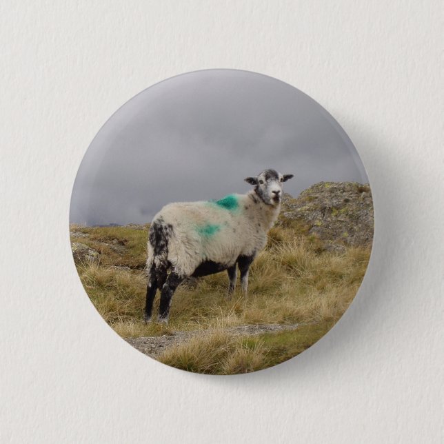 Punk sheep 2 inch round button (Front)