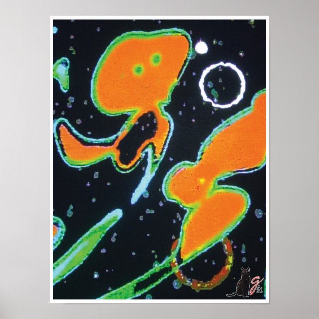 Punkin KC Image Poster (Front)