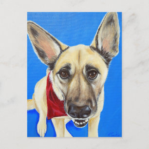 Punkin Painting Postcard