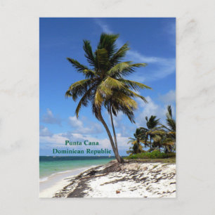 Punta Cana, Dominican Republic, coconut palm tree Holiday Postcard