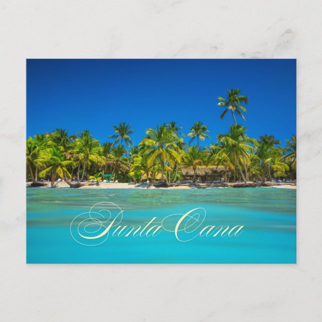 Punta Cana Tropical Palm Trees on Sandy Beach View Postcard (Front)