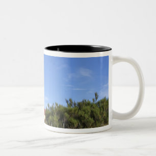 Punta Delgada, Valdes Peninsula, Chubut Two-Tone Coffee Mug