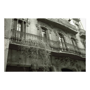 Punto de Vista Photo Print (Barcelona, Spain)