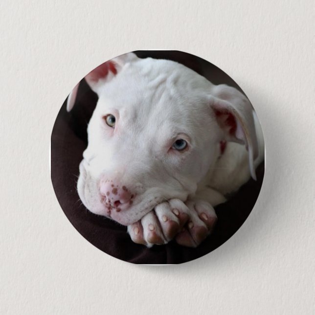 Pup 2 Inch Round Button (Front)