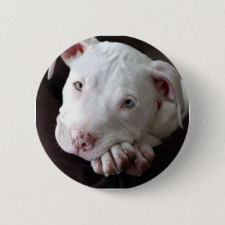 Pup 2 Inch Round Button