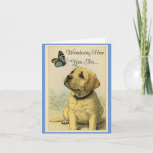 Pup Avec Carte De Voeux Papillon