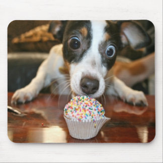 Pup Cake Mousepad