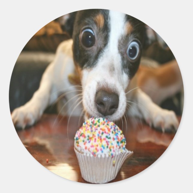 Pup Cake Sticker (Front)