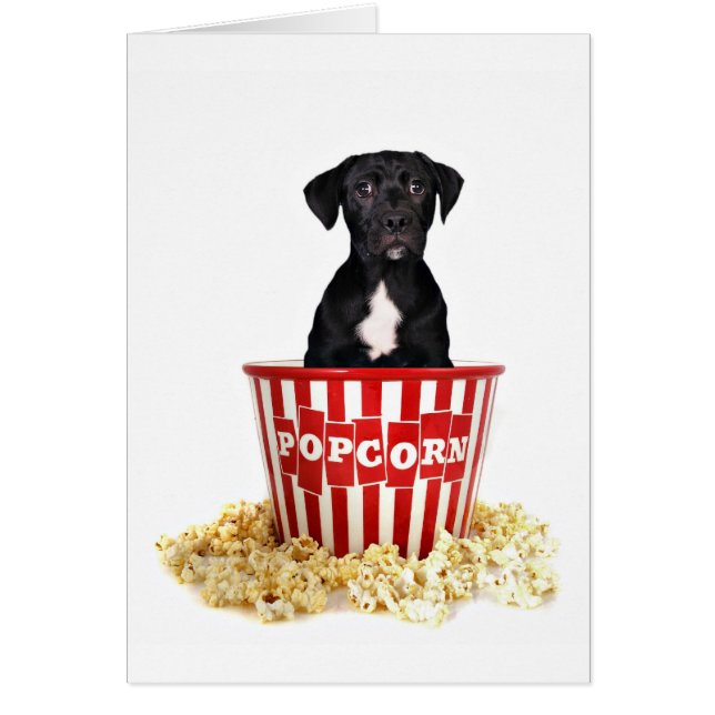 Pup-Corn anyone? (Front)