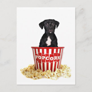 Pup-Corn anyone? Postcard