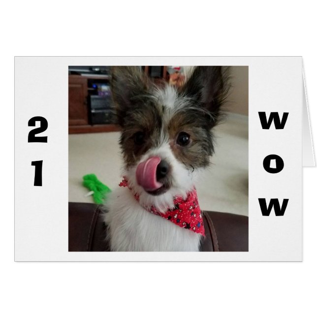 PUP EST SI HEUREUX POUR VOUS D'AVOIR "21" (Devant horizontal)