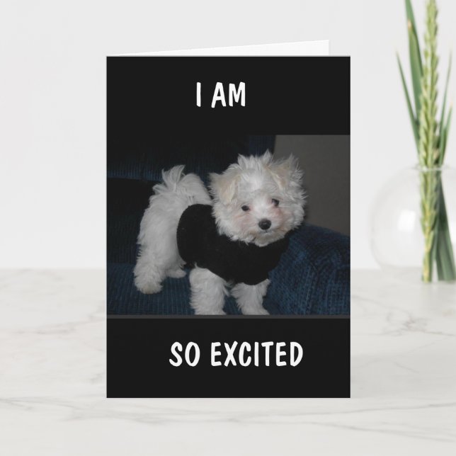 PUP EXCITÉ VOUS ENVOIE UNE Carte *9ème ANNIVERSAIR (Devant)