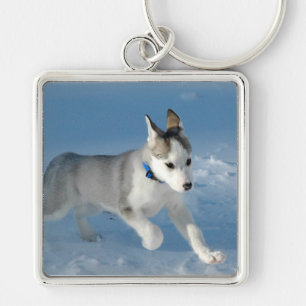 Pup in the snow keychain