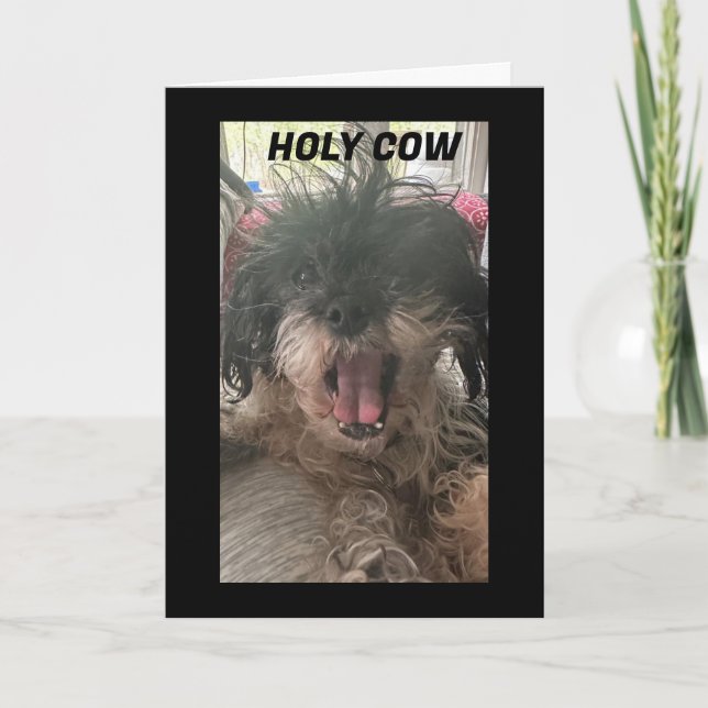 PUP IS BAFFLED-HOW DID YOU TURN "70" CARD (Front)