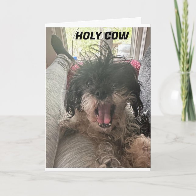 PUP JUST CAN'T BELIEVE IT! U R "40" CARD (Front)