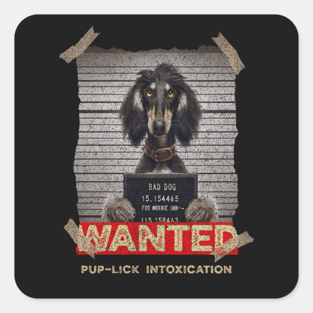 Pup-Lick Intoxication: The Elegant Afghan Hound's  Square Sticker (Front)