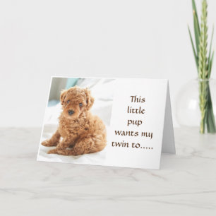 PUP WANTS MY TWIN'S BIRTHDAY" TO BE BEST YET CARD