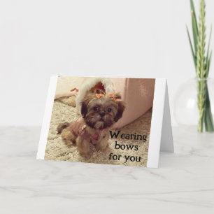 PUP WEARS HER BOWS ON YOUR BIRTHDAY CARD