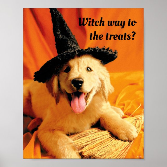 Pup With Witch Hat and Broom Poster (Front)