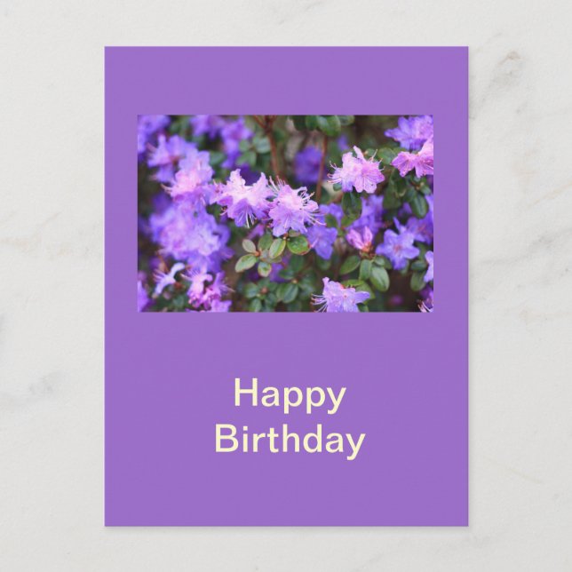 puple azalea flowering bush postcard (Front)