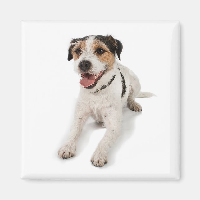 puppie magnet (Front)