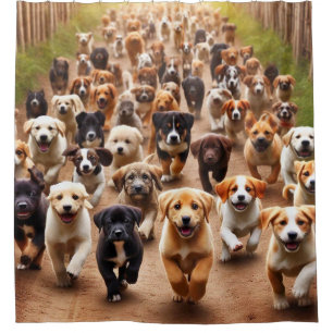 Puppies