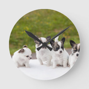 puppies-453532.jpg round clock