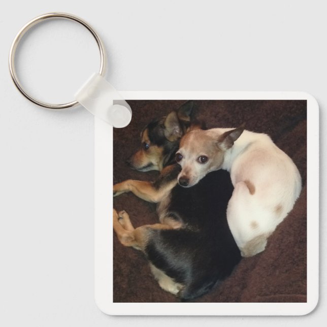 Puppies and Art Keychain (Front)