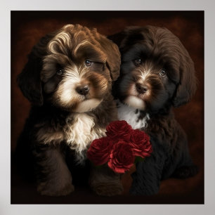 Puppies au chocolat Havanais Impression murale par