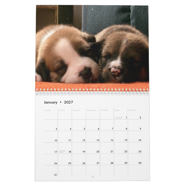 Puppies Calendar (Jan 2027)