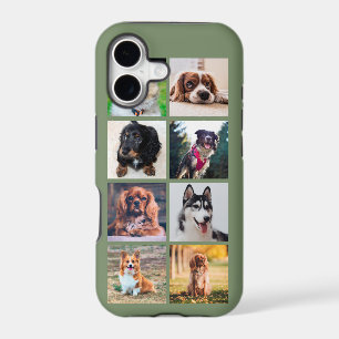 Puppies Dogs Instagram Photos