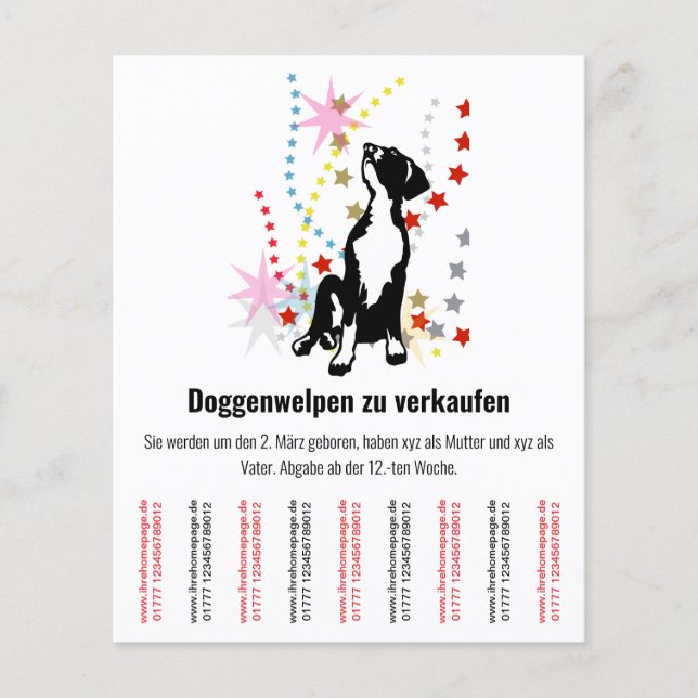 Puppies Flyer  (Front)