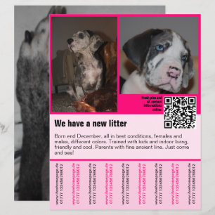 puppies for sale flyer template QR code