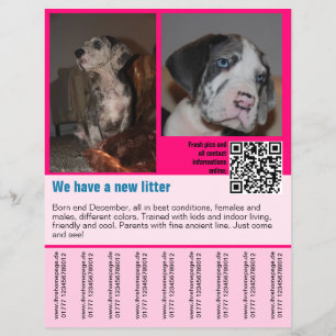 puppies for sale flyer template QR code