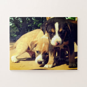 Puppies Jigsaw Puzzle