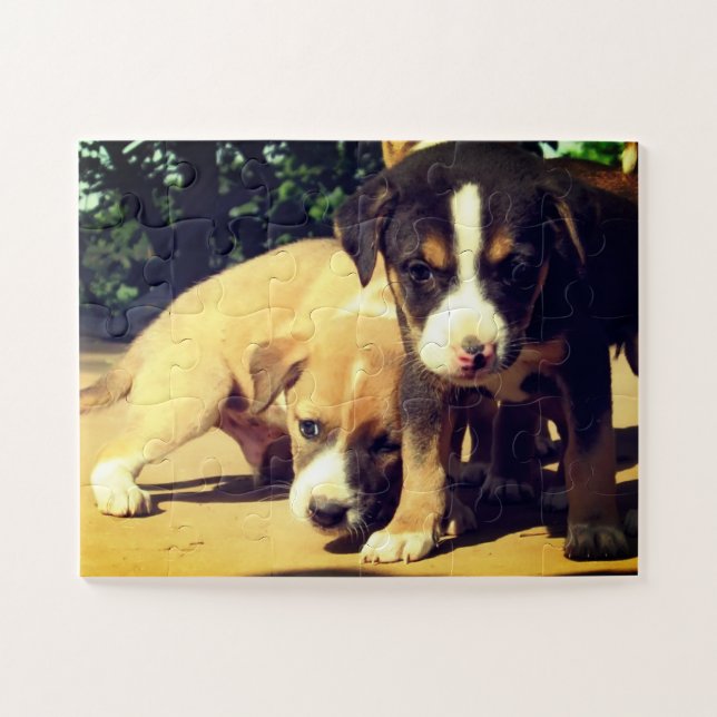 Puppies Jigsaw Puzzle (Horizontal)