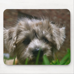 Pupppy Mouse Pad