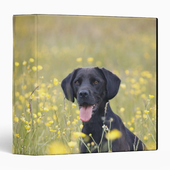 Puppy 16 Months 2 Binder (Front/Spine)