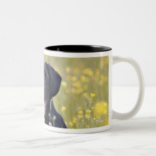 Puppy 16 Months 2 Two-Tone Coffee Mug