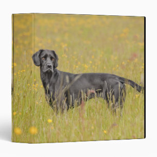 Puppy 16 Months Binder