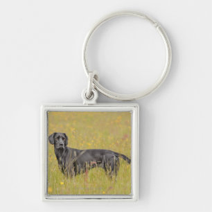 Puppy 16 Months Keychain