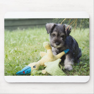 puppy 2 mini schnauzer mouse pad