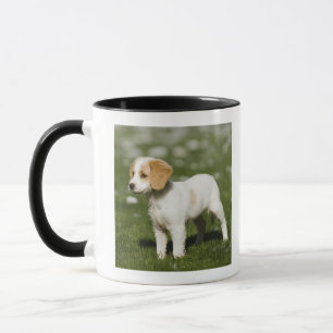 Puppy 3 mug