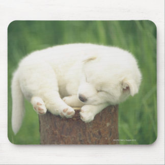 Puppy 4 mouse pad