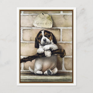 Puppy, 4 Weeks Old Postcard