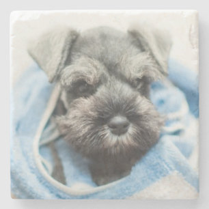 Puppy After Bath Stone Coaster