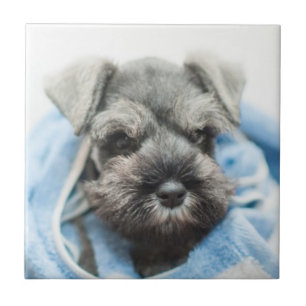 Puppy After Bath Tile