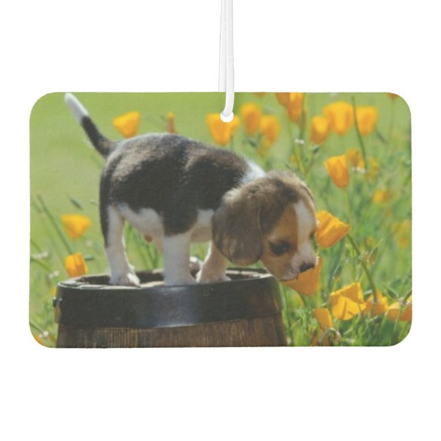 Puppy Air Freshener (Front)