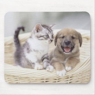 Puppy and Baby Cat Mouse Pad