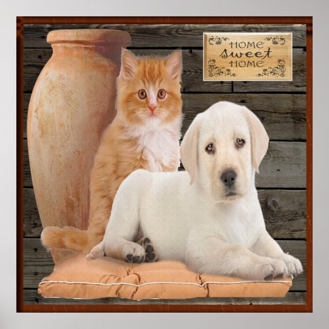 puppy and kitten poster (Front)